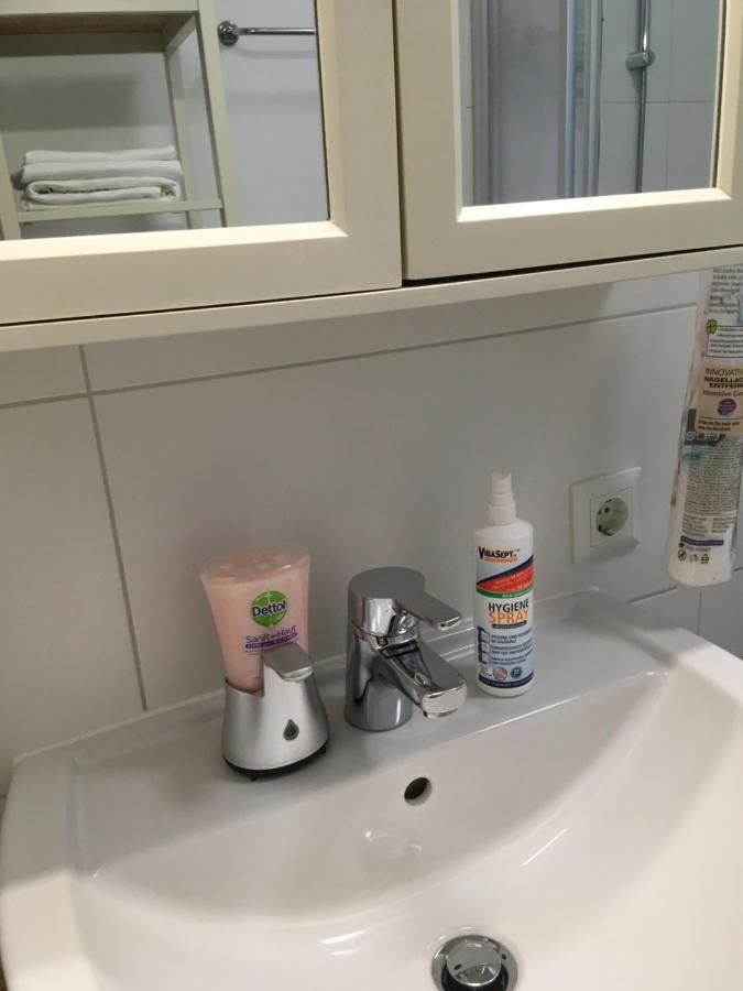 New Flat In Old Town+Garage Apartment Steyr Bagian luar foto