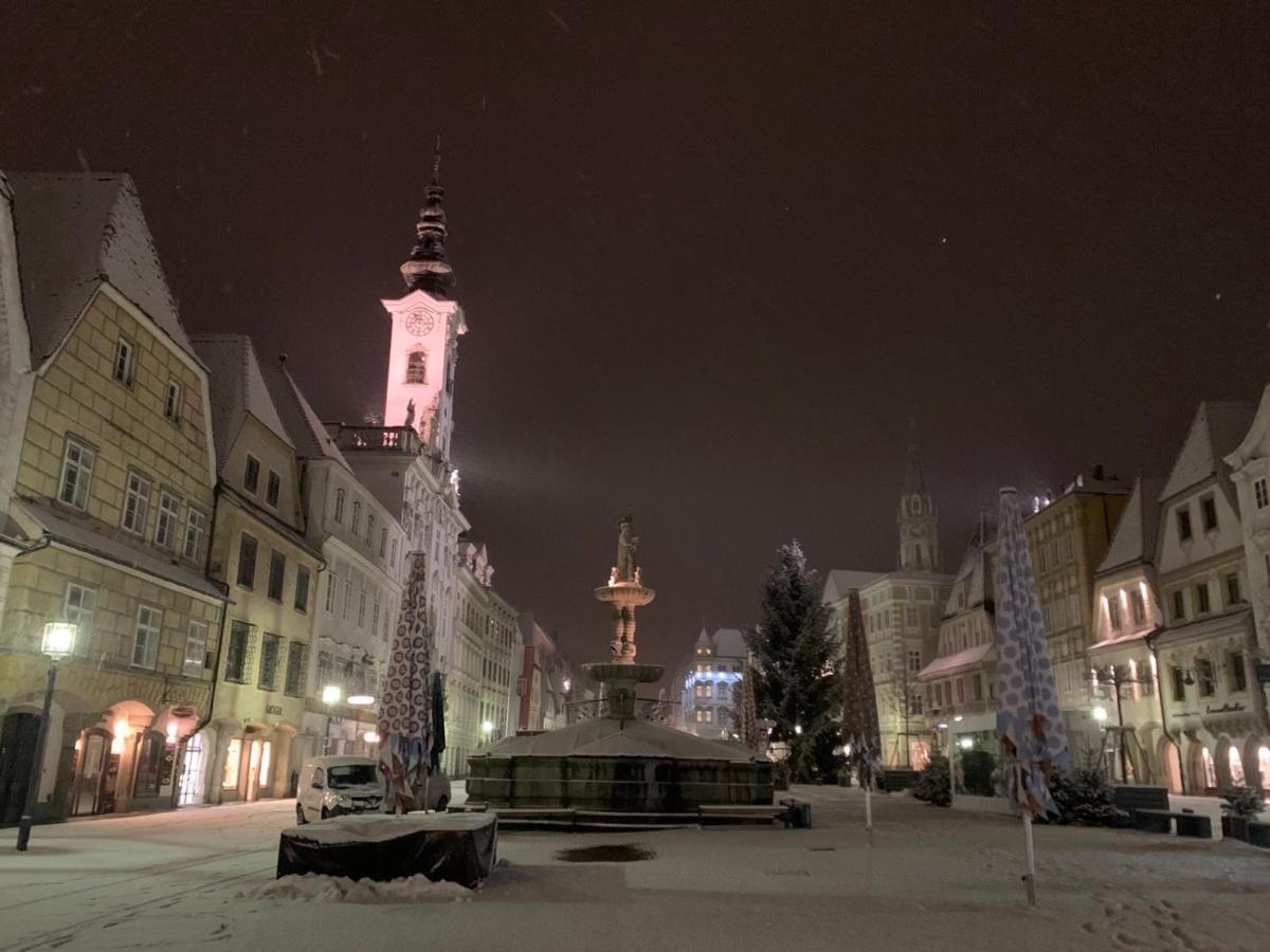New Flat In Old Town+Garage Apartment Steyr Bagian luar foto