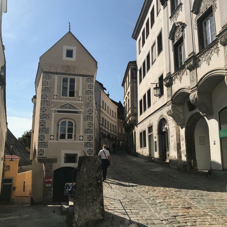 New Flat In Old Town+Garage Apartment Steyr Bagian luar foto