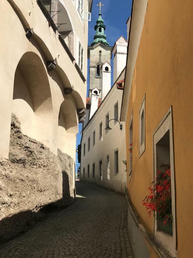 New Flat In Old Town+Garage Apartment Steyr Bagian luar foto
